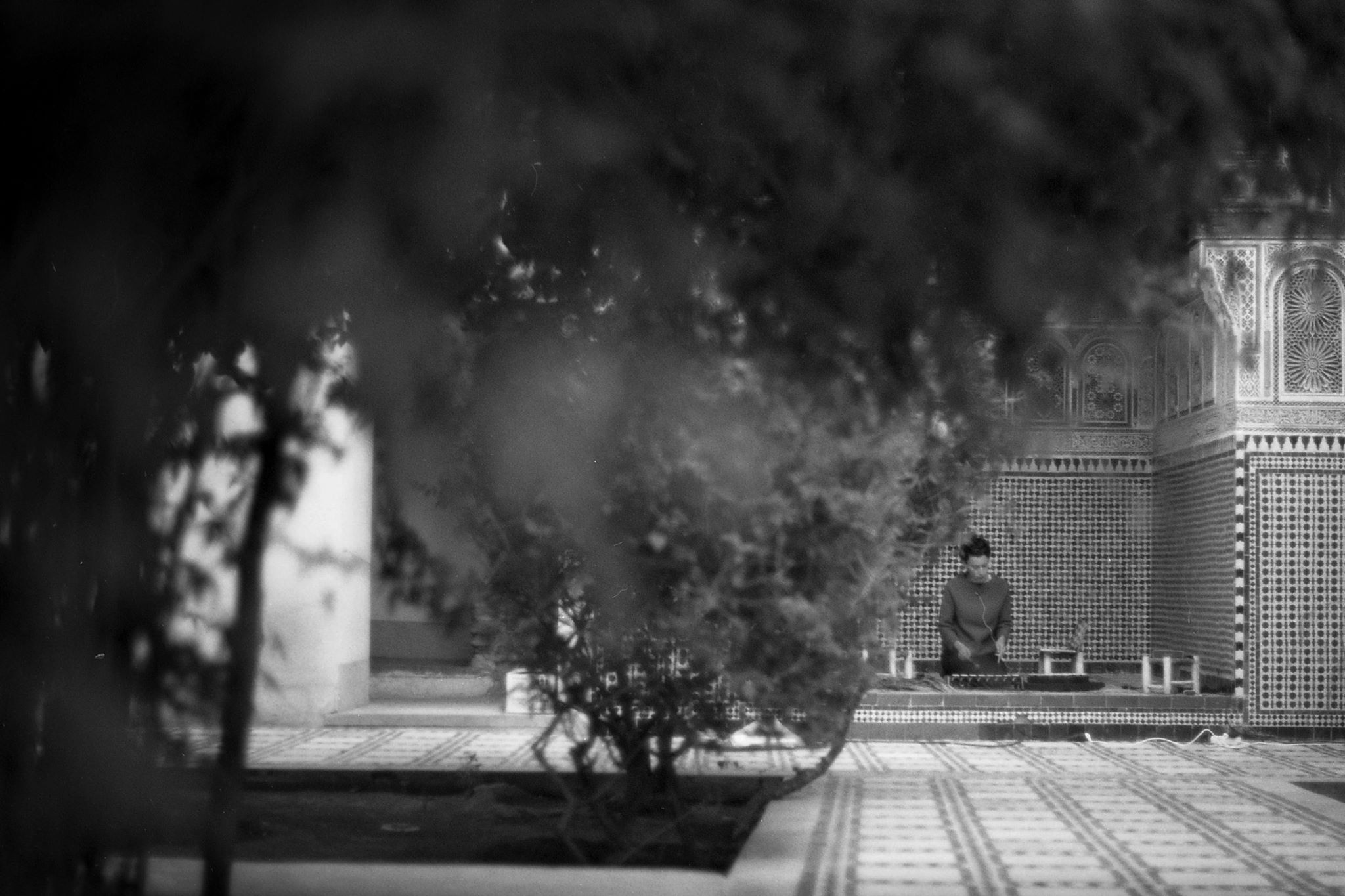 Safar Jardin du Palais Bahia © Thomas Van Cottom