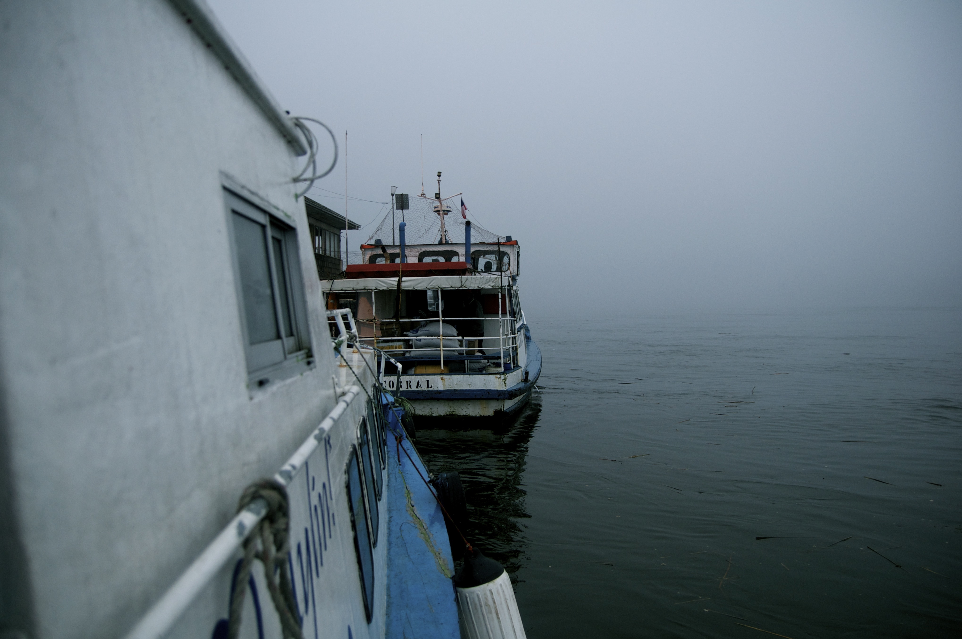 Niebla_Myriam Pruvot