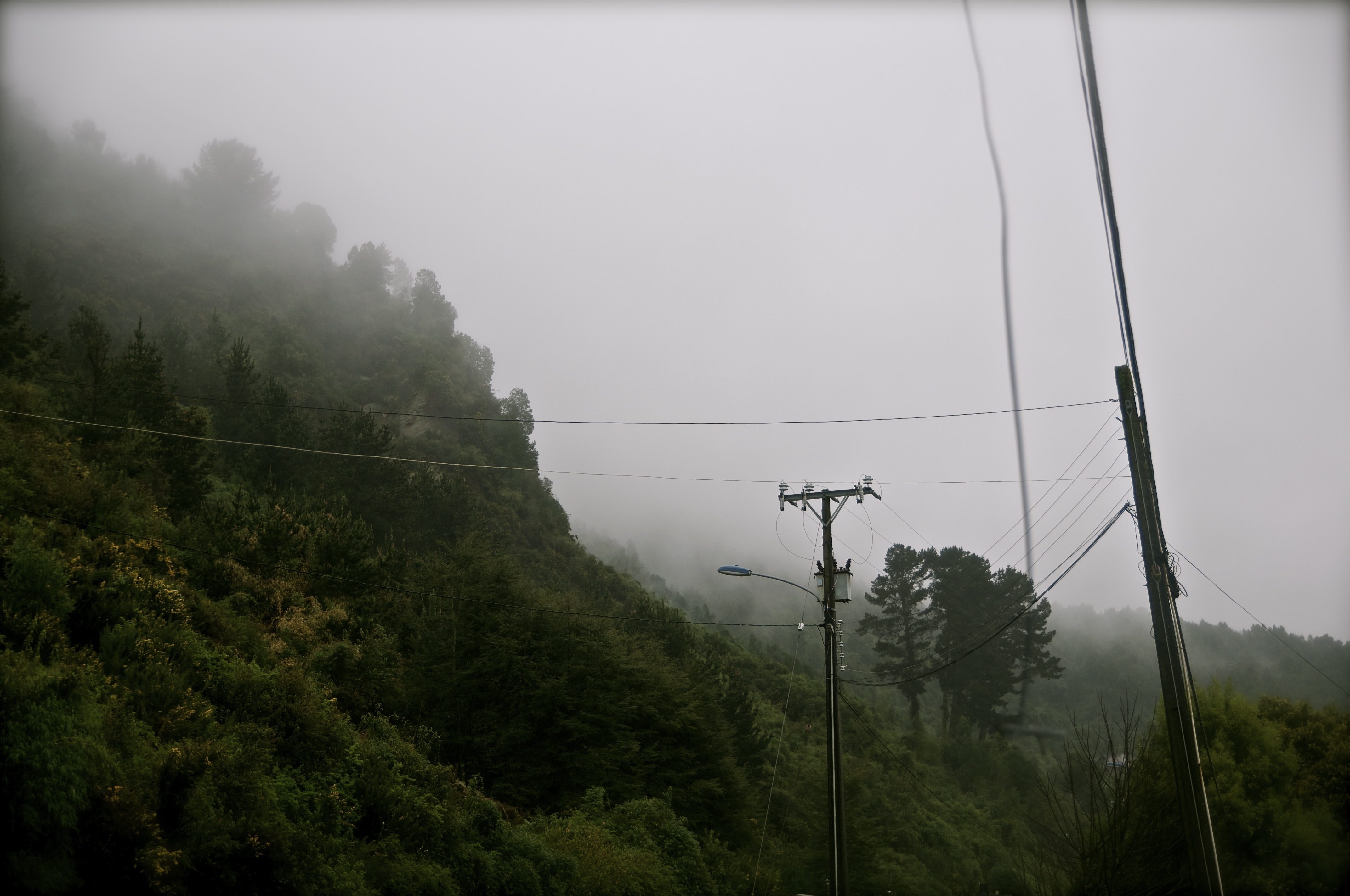 Niebla_Myriam Pruvot